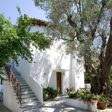 Villas Alexandra Skiathos Platanias  Exterior foto