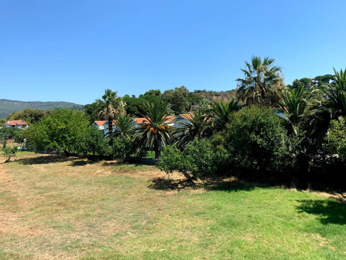Villas Alexandra Skiathos Platanias  Exterior foto